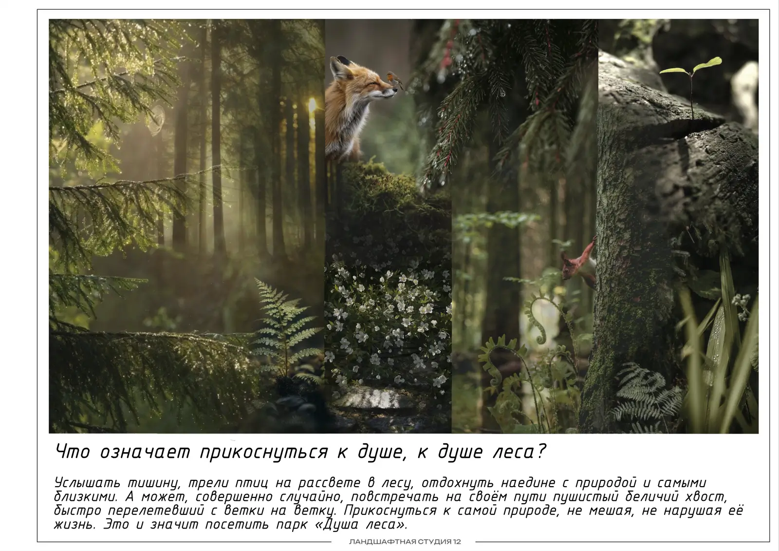 Парк «Душа Леса» — рабочий проект, лист 2